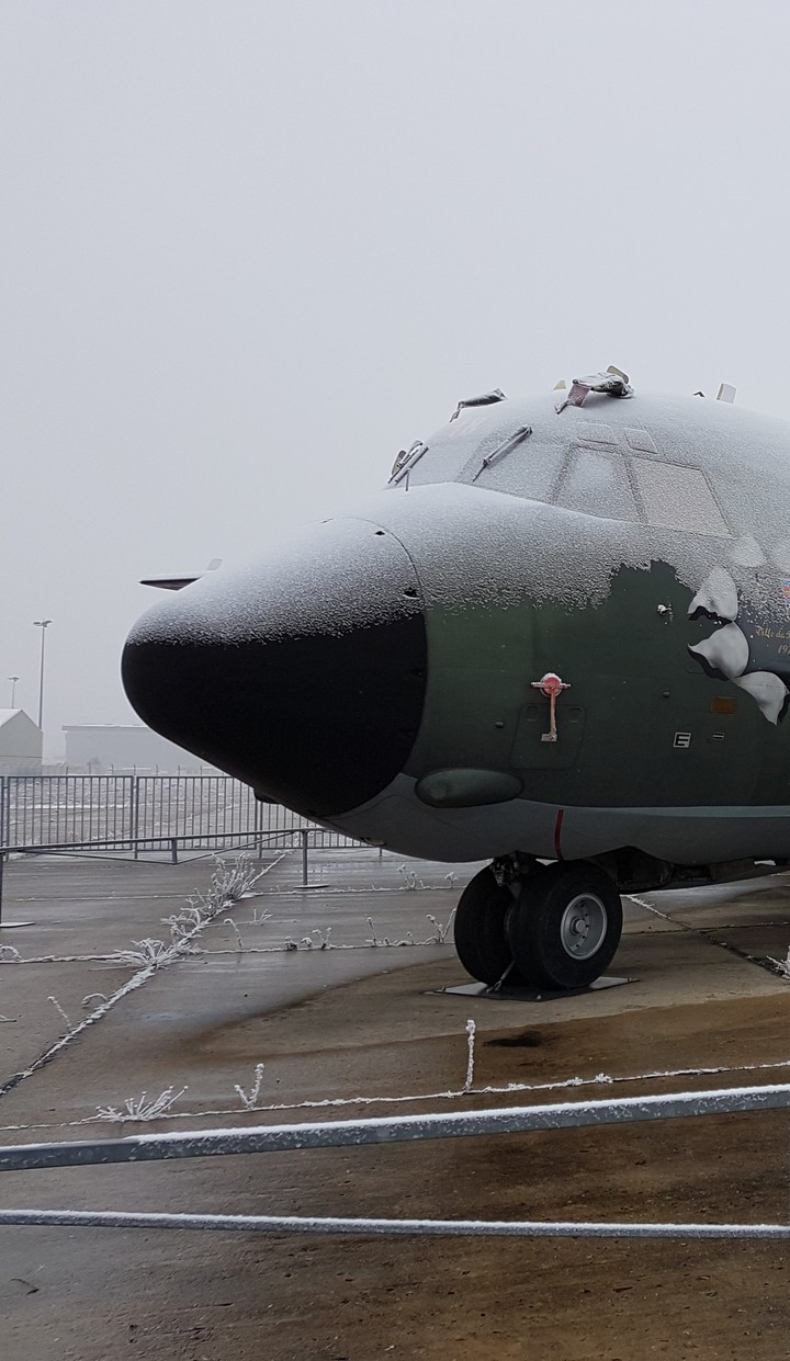 Avion