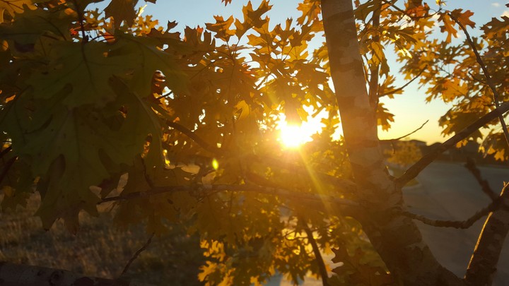 sunset