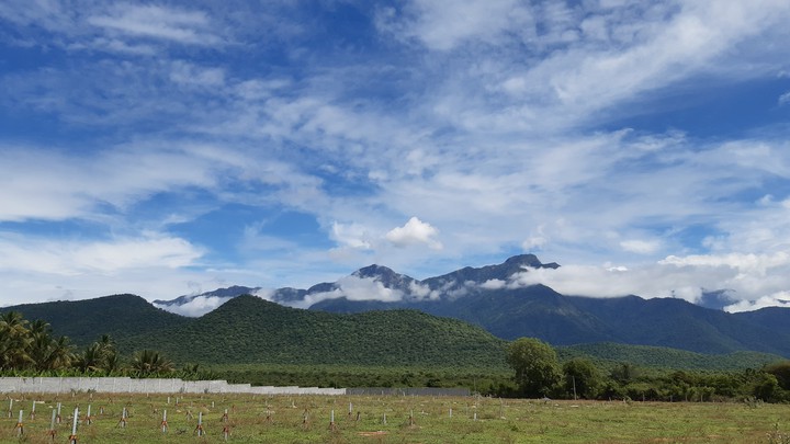 blue mountain