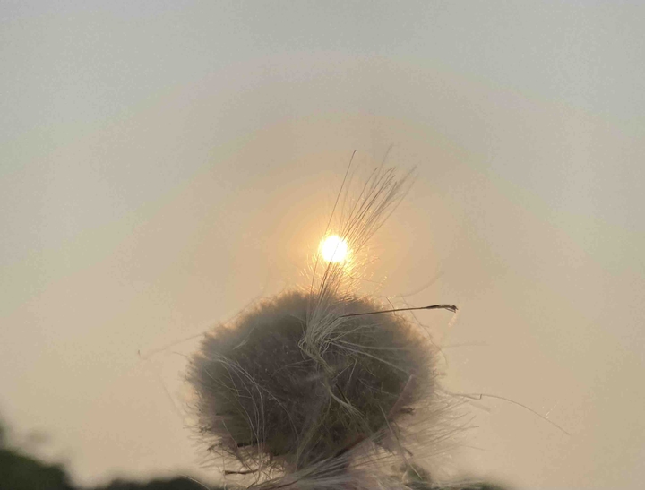 beautiful nature