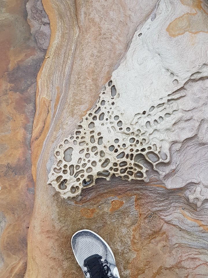 Cronula Beach