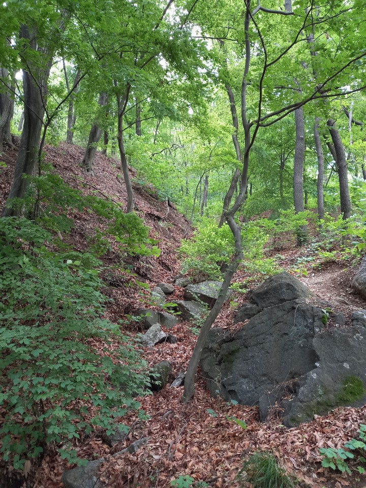고향산천