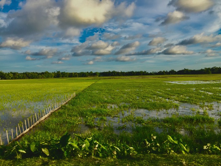 landscape of assam India