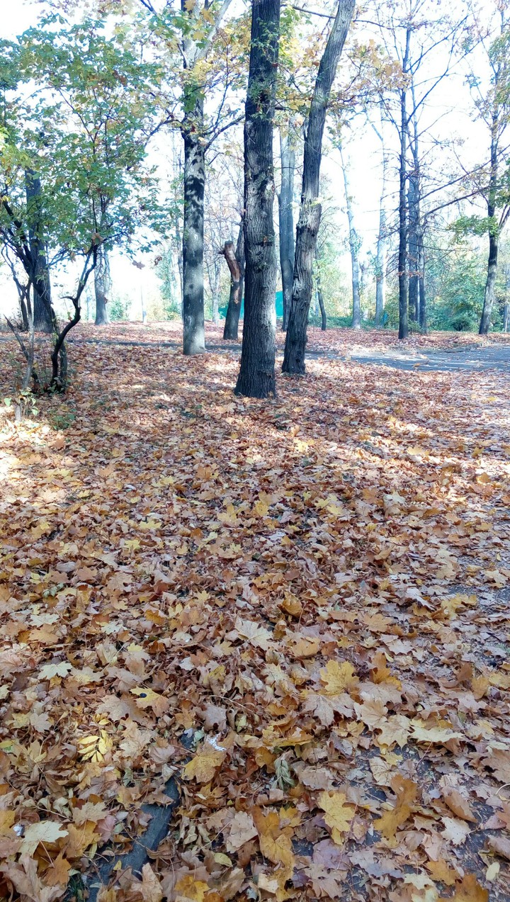 осінь