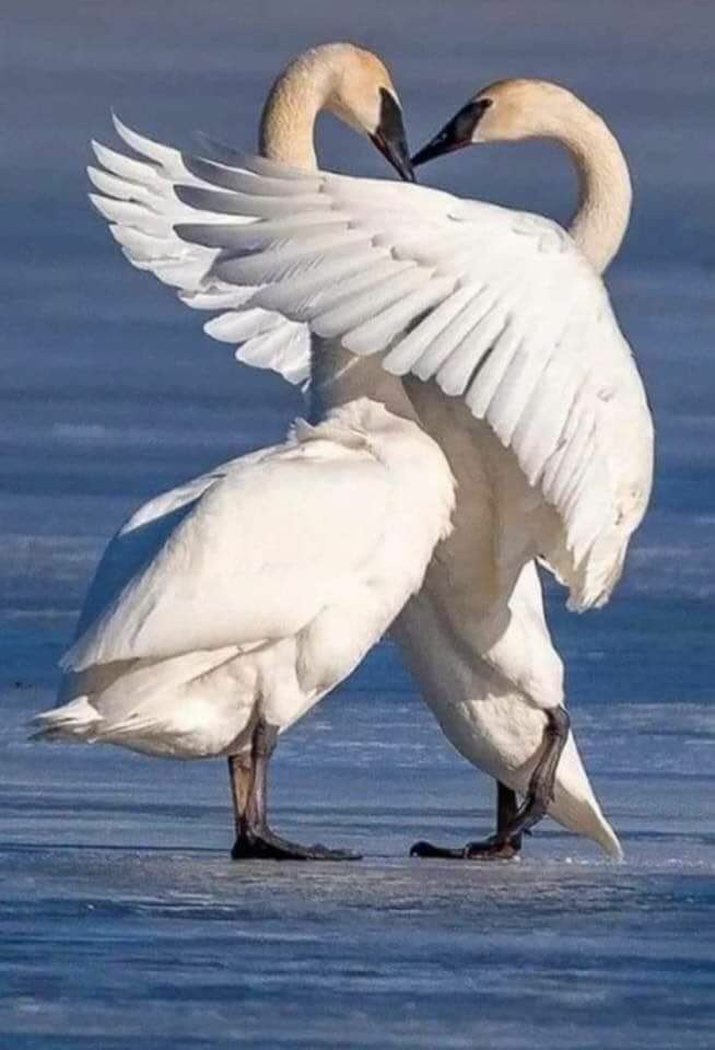 ❤️