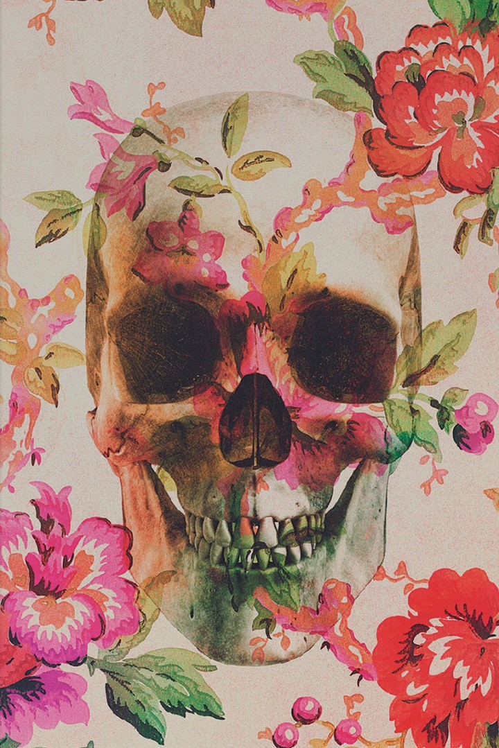 Beautiful disguise