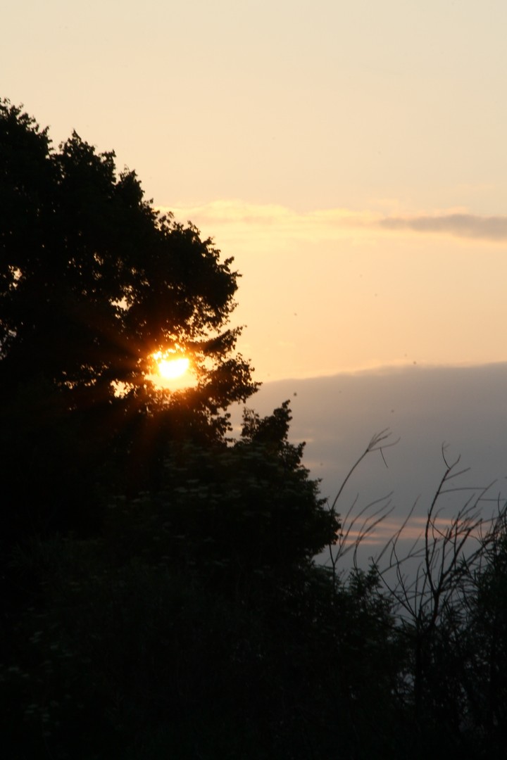 sunlight