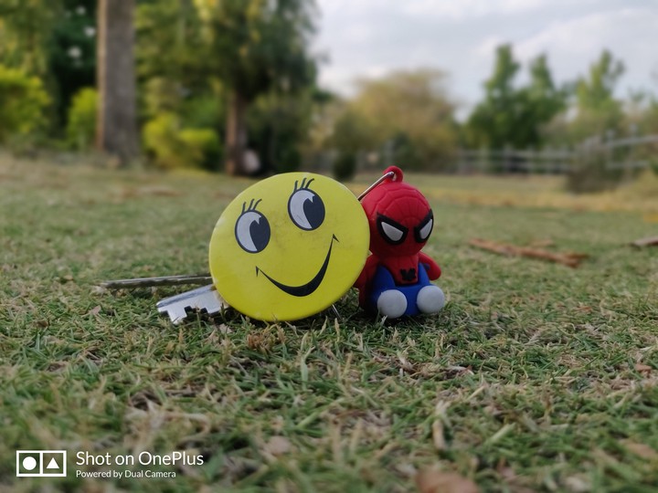 Buddies