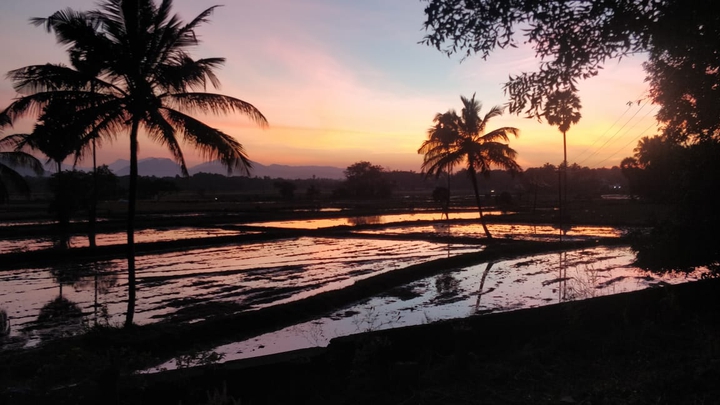 Sunset beauty