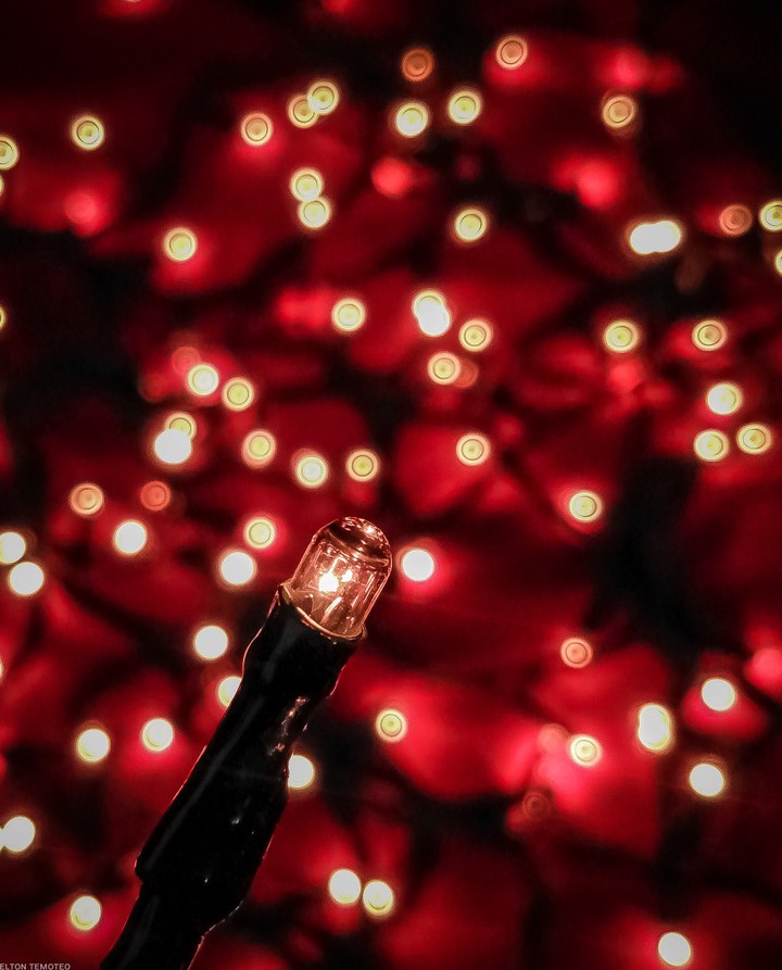 Natal