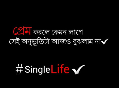 Single life