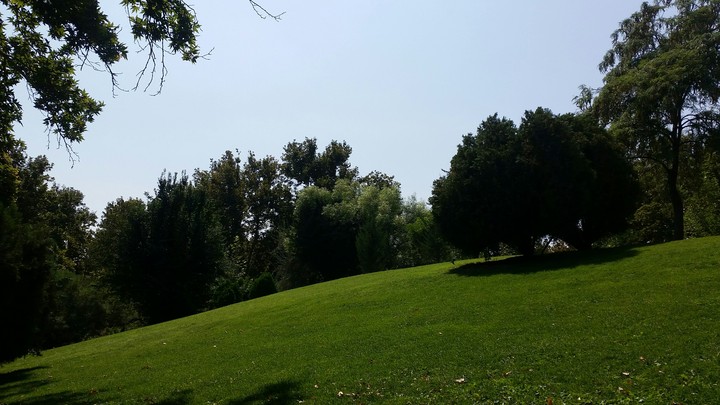 MELLAT PARK