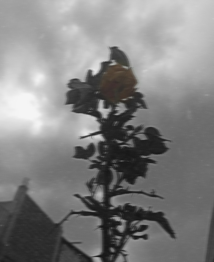 Stormy