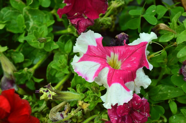 Shades of beauty!