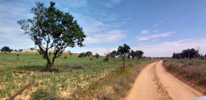 Road