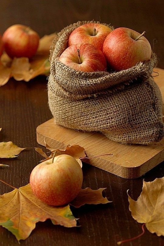 gifts of nature