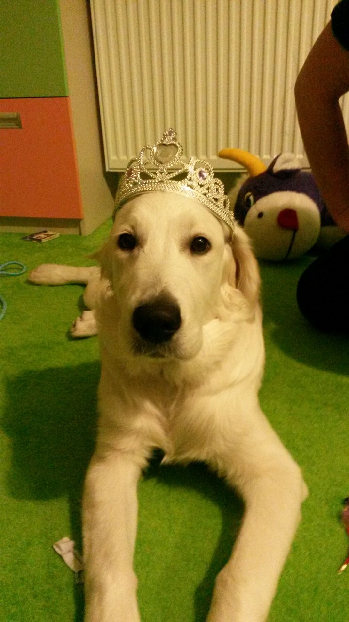prince