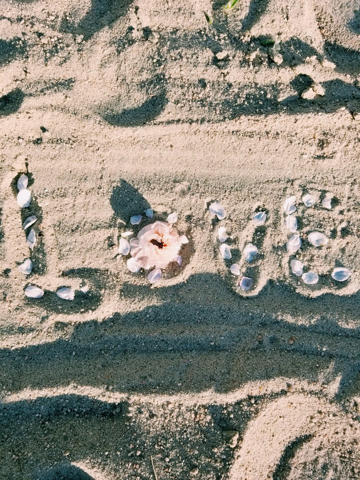 LOVE