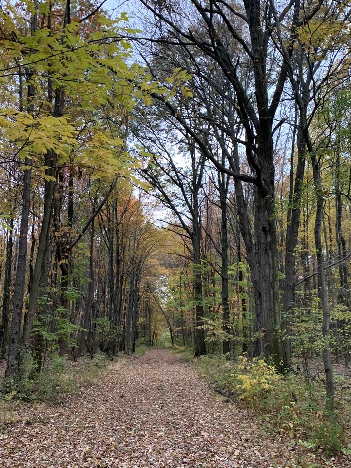 walk in the park