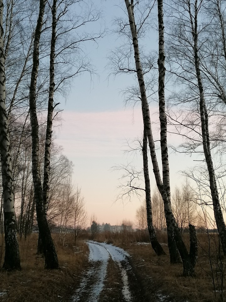 autumn