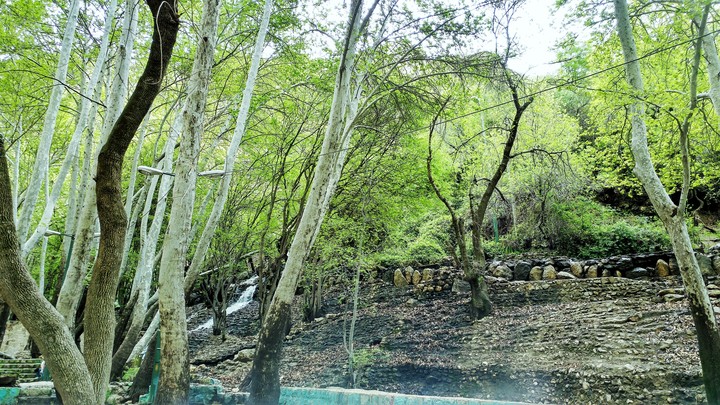 iran
