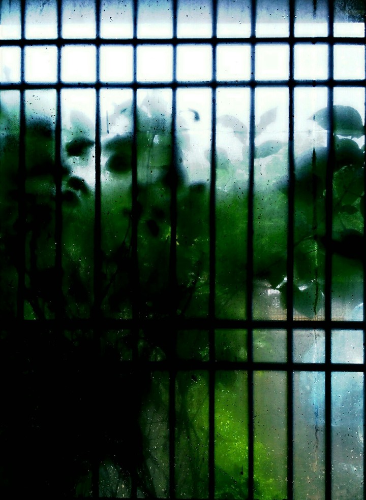 rain