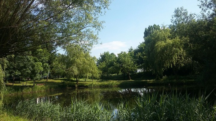 place in my village