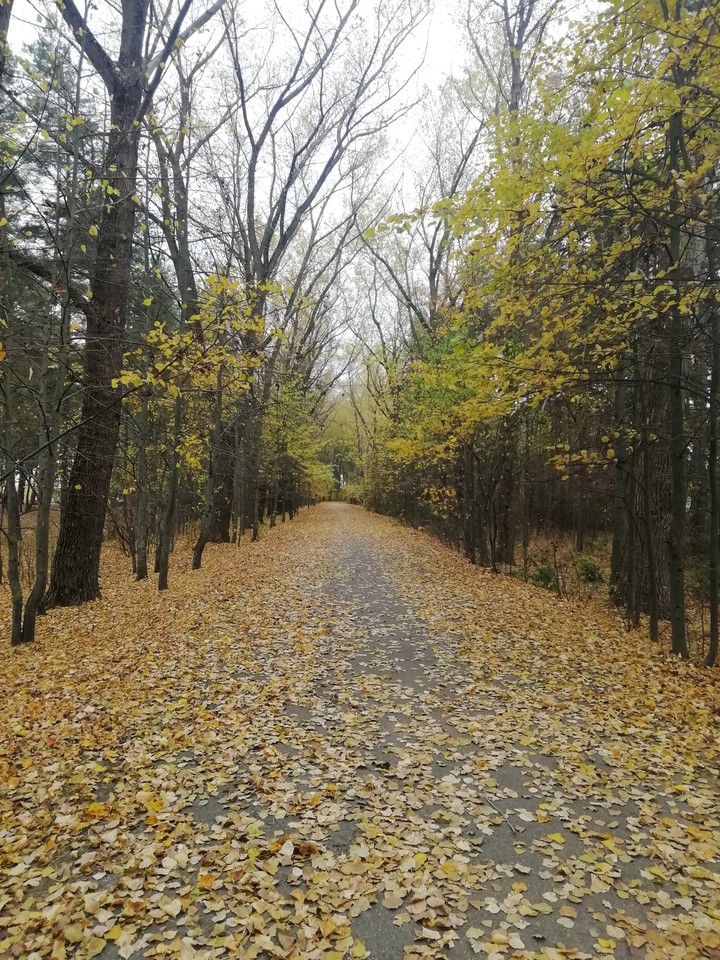 autumn