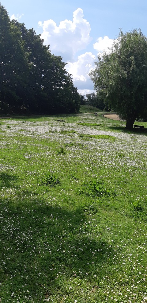 Parc in France