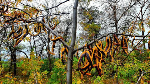 Осень.