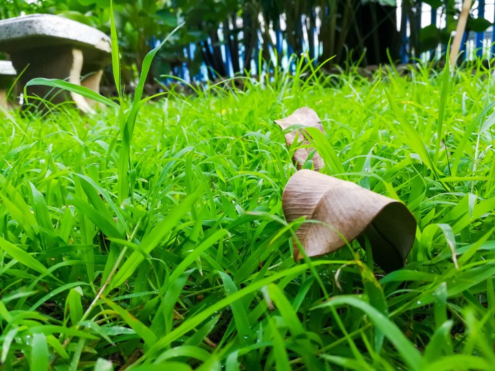 Under