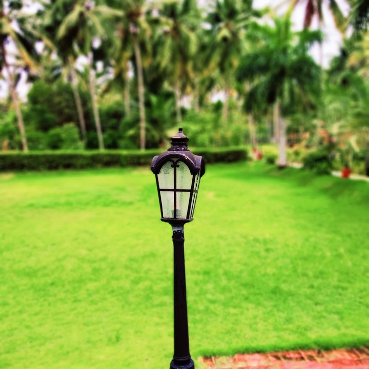 The Lone lamp