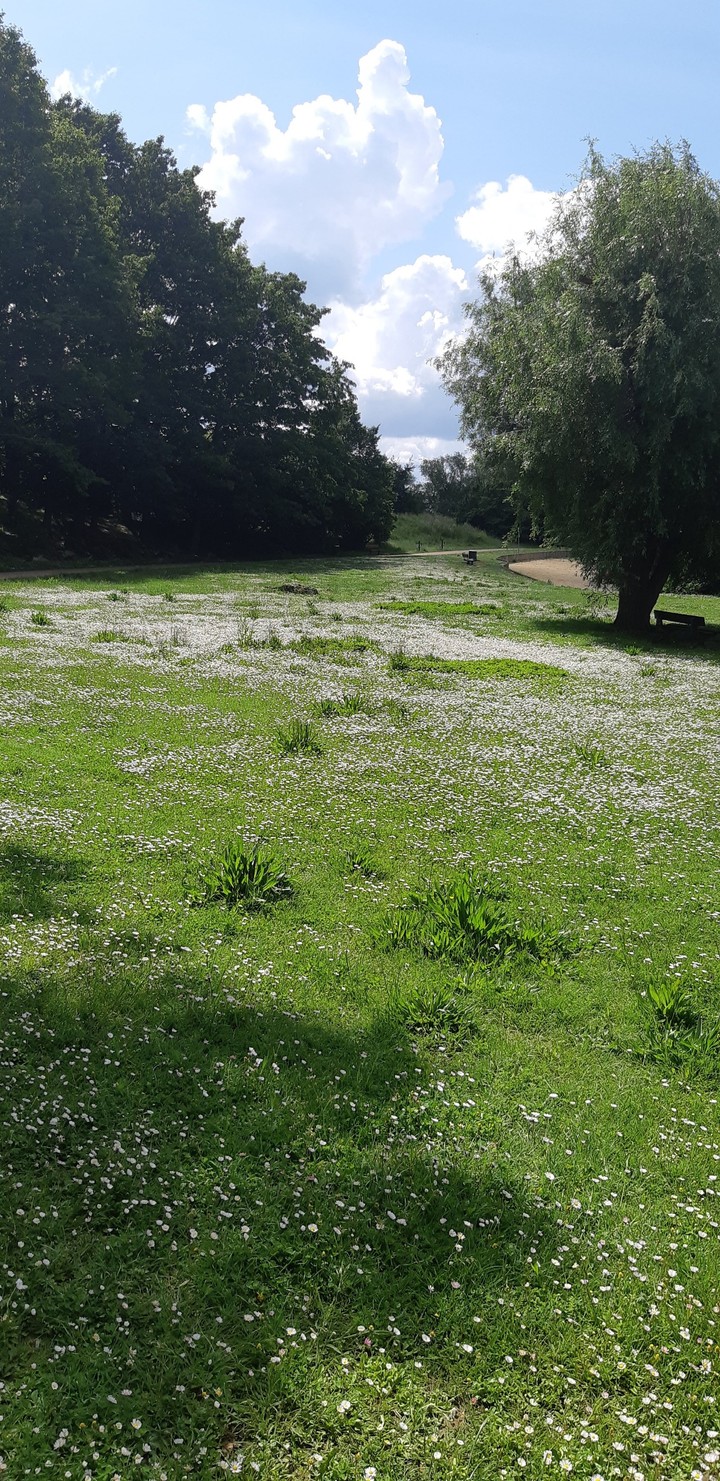 Parc in France
