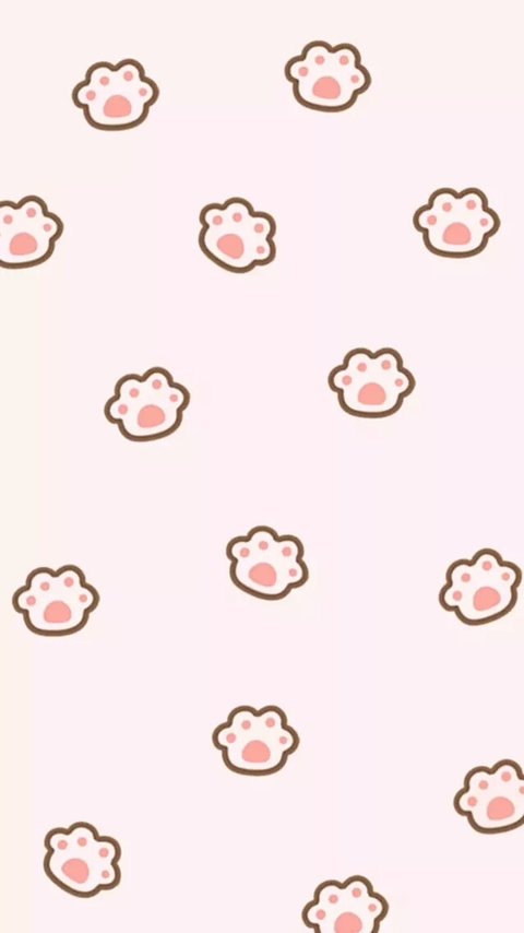 paw cat