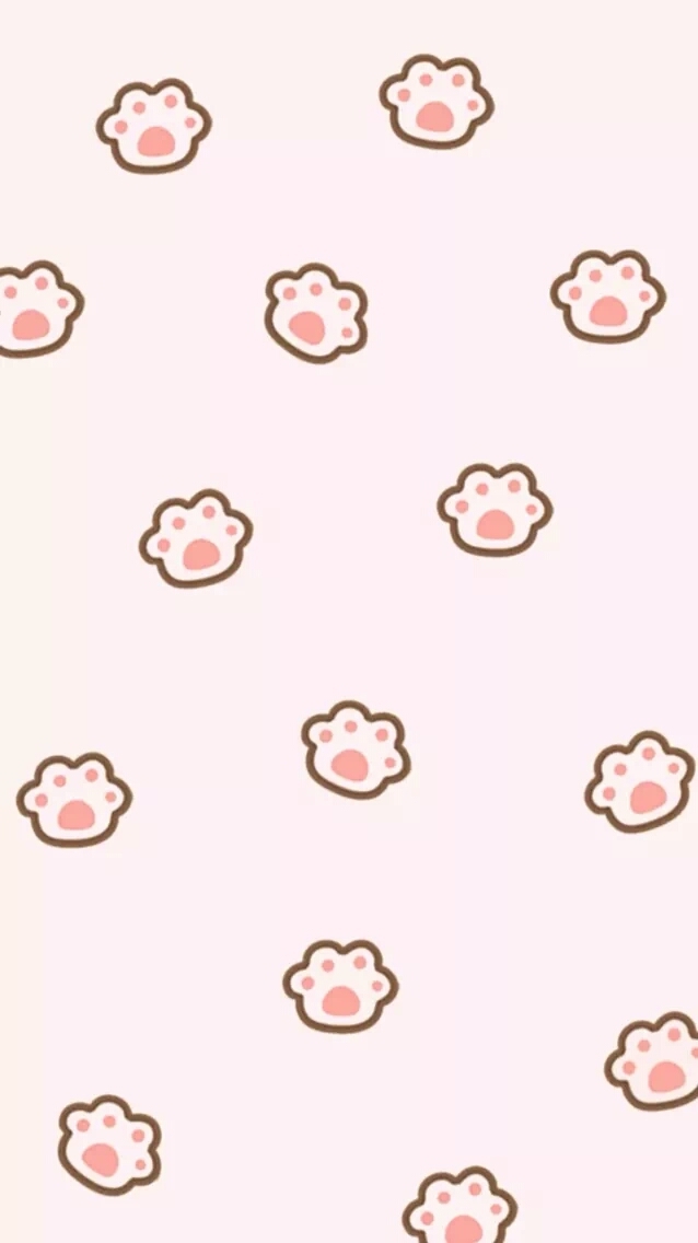 paw cat