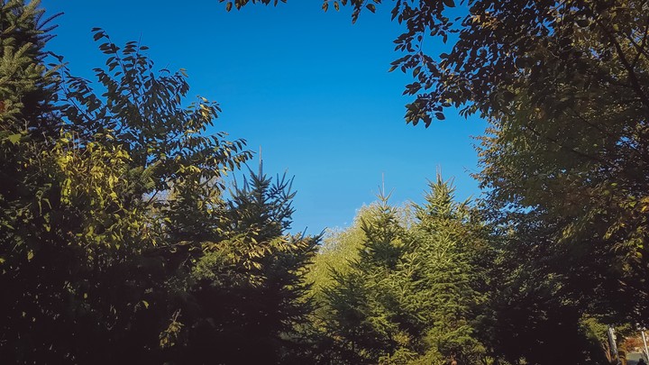 fall
