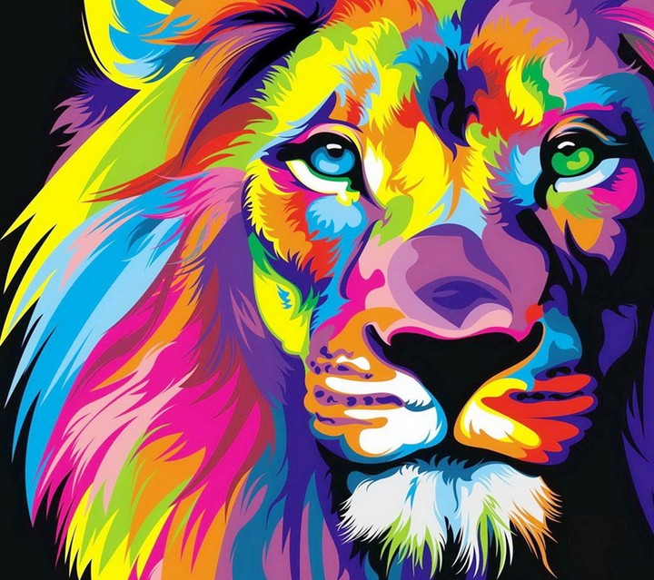Lion in color