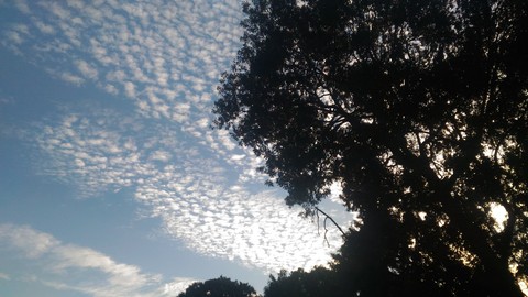 cloud