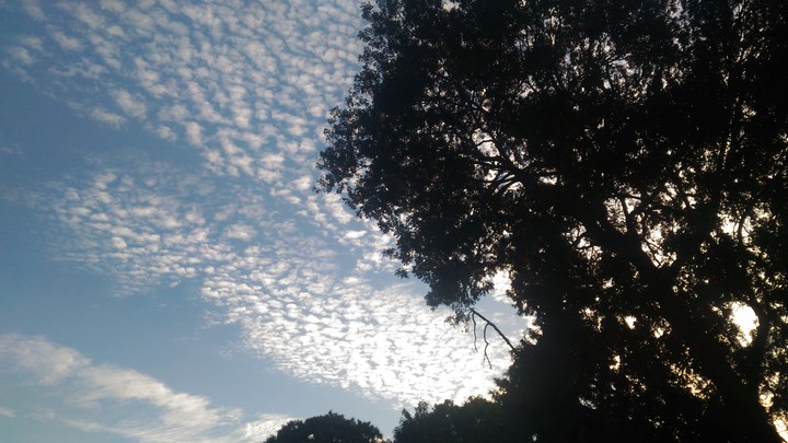 cloud