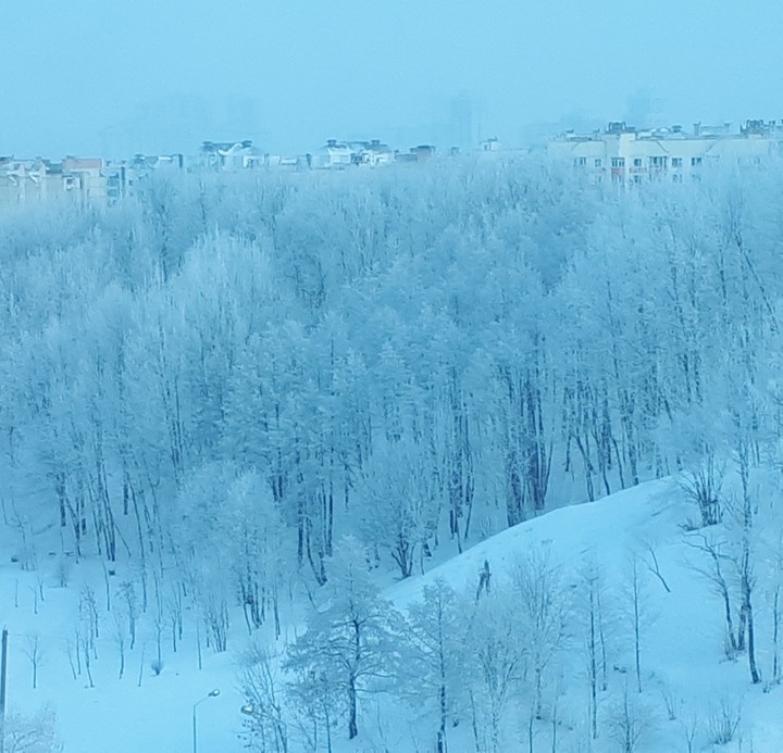 Winter