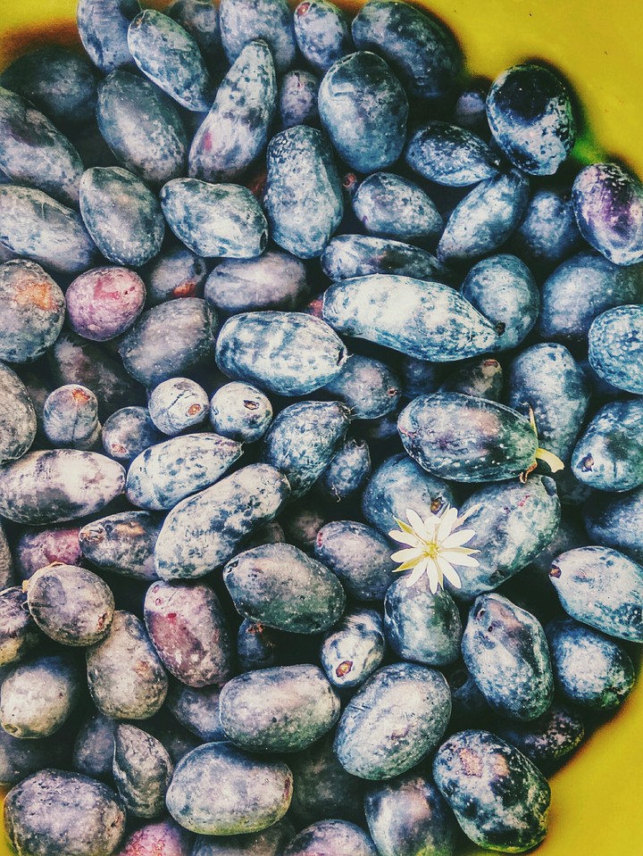 Summer berry