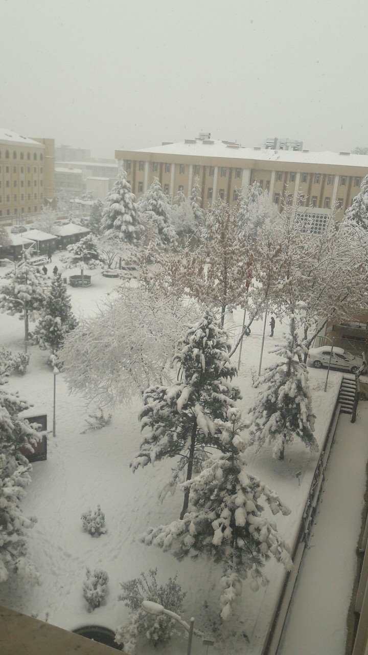 winter