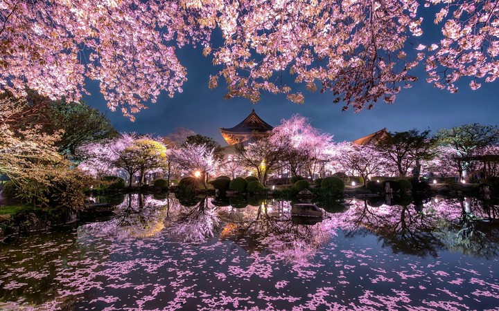 good view  (spring )