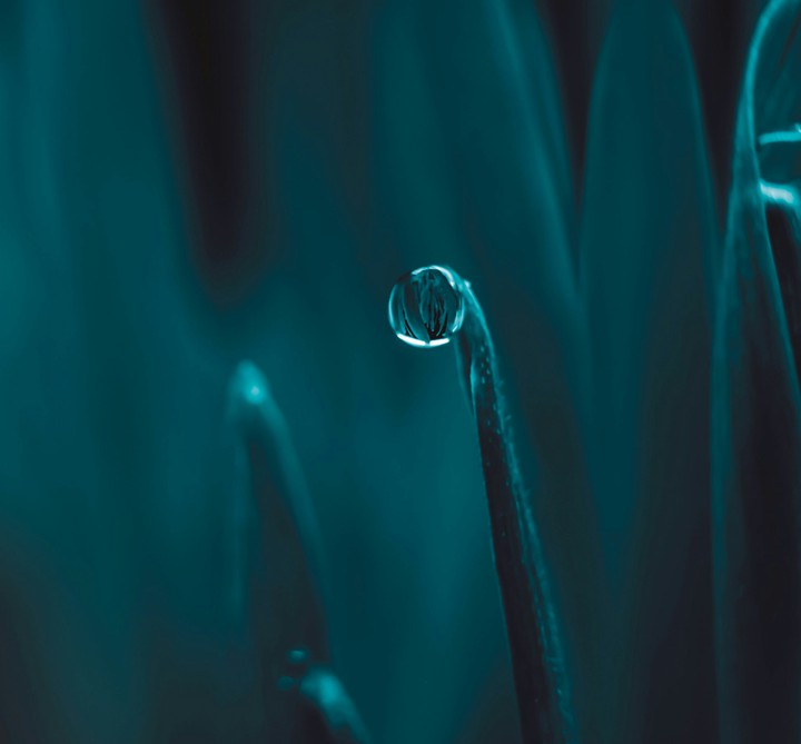 beautiful drop