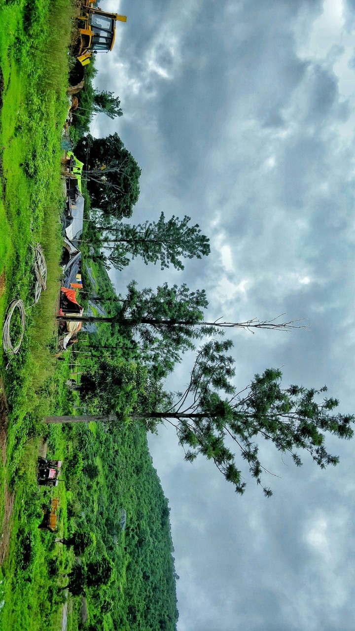 landscape
