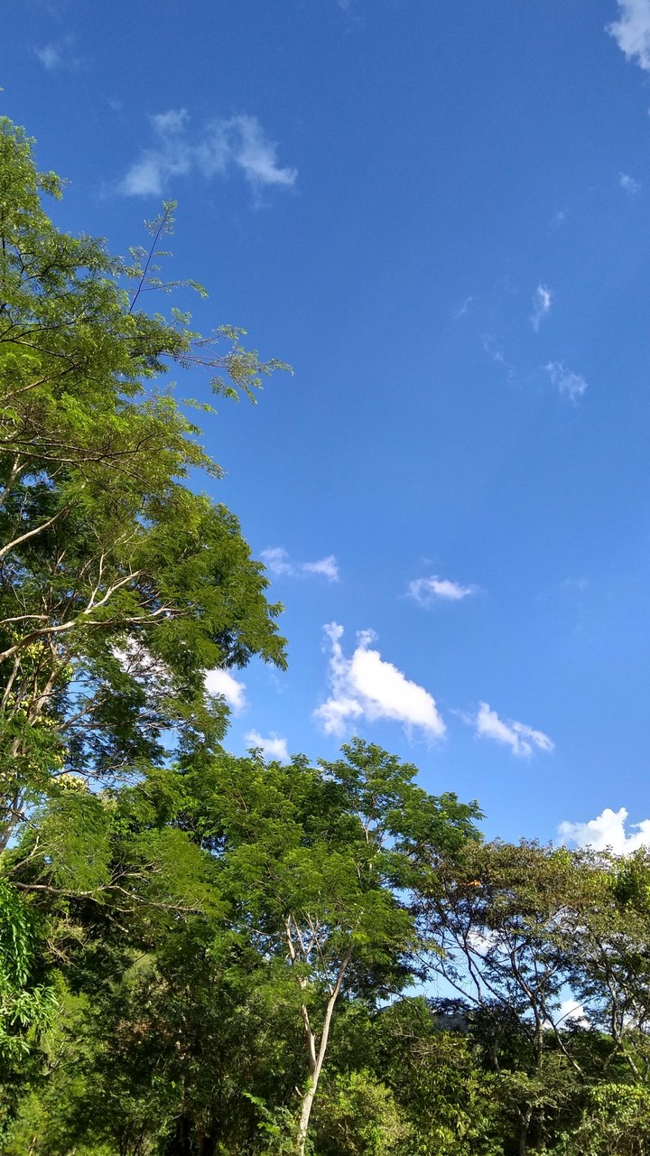 aquele céu