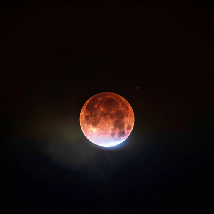 Pink Moon