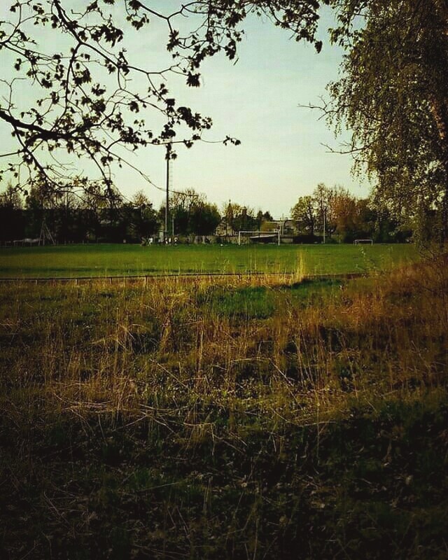 Football field