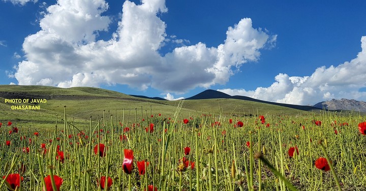 The beautiful nature of Iran