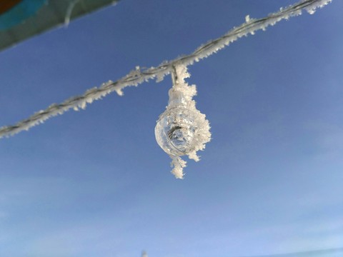 winter